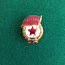 Знак Гвардия СССР (фото #1)