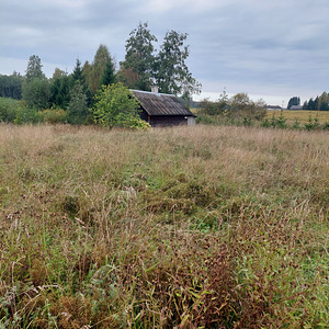 Adraku, Mustvee vald, Jõgevamaa (6 foto / 9)