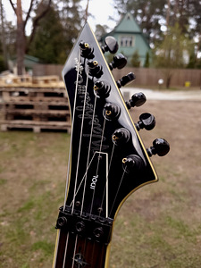Washburn Idol WI50V-Pro 2008 (3 foto / 3)