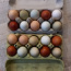 Инкубационное яйцо (фото #5)