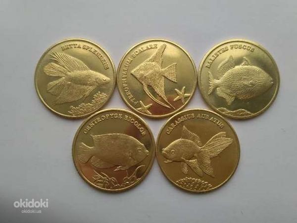 Редкие монеты мира Малуку (фото #1)