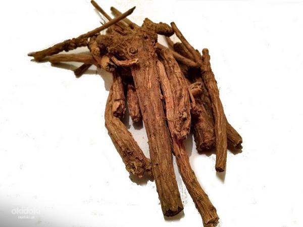 Шлемник байкальский корень 50 грамм (фото #1)