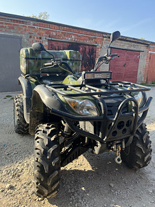 Xin Yang Mastiff 500 (1 foto / 7)