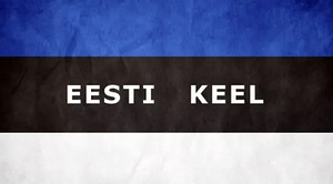 Teksti tõlkimine vene keelest eesti keelde (1 foto / 1)