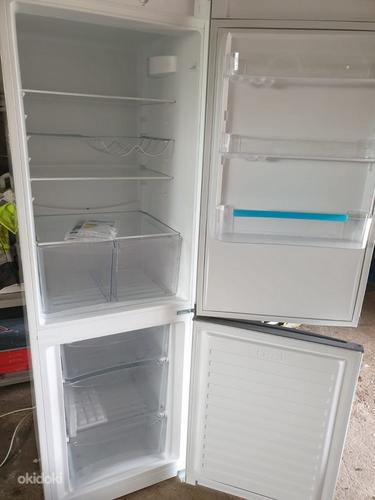 Холодильник Rosenlew RJP4545 (фото #2)