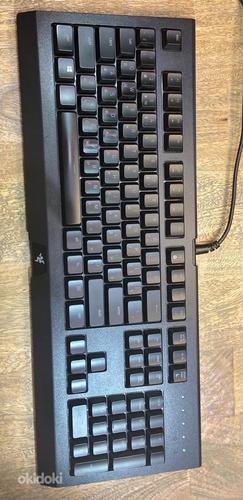 Klaviatuur / Arvuti klaviatuur / Razer Cynosa Chroma (RUS) (foto #1)