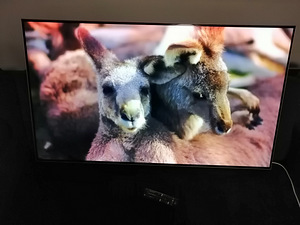 55" LG OLED teler 4K UHD (3 foto / 8)