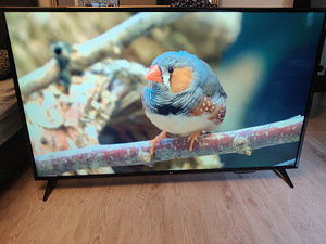 65" LG telekas SmartTV (2 foto / 5)