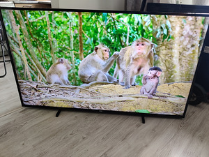 65" Philips 4K UHD teler SmartTV (1 foto / 6)