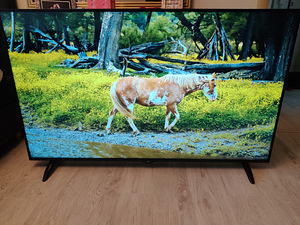 65" 4K UHD teler SmartTV (1 foto / 6)
