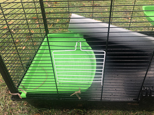 Клетка Фродо (7 фото из 10)