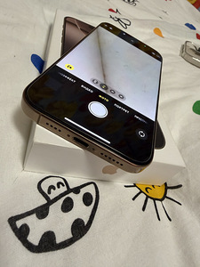 iPhone 16 Pro Max 256 ГБ (5 фото из 6)