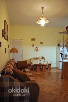 Відпочинок Крим Кацивелі ЮБК 2022 апартаменти (фото #2)