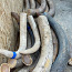 Valmis materjal Jakuutiast pärit 1, 2, 3 sorti mammutite kihvadest (foto #4)