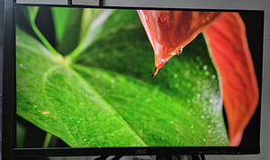 AOC 24g2w1g4 144Hz (3 foto / 4)