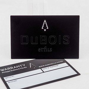DuBois et fils - Chronograph Grande Date Limited Edition (8 foto / 9)