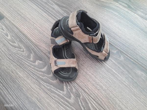 Ecco sandaalid, suurus 25 (foto #1)