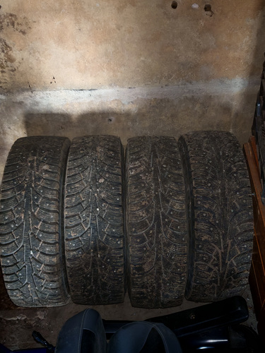 Naastrehvid 195/65/R15 Wolf 91T