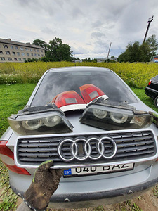 Audi a4 B5 tuled ja iluvõre