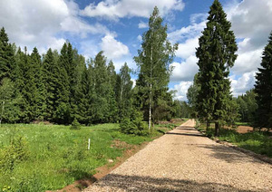 Лесной участок на Дмитровском шоссе. 40 км от МКАД