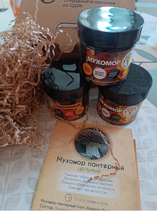 Mikrodoosimine kärbseseene (1 foto / 1)