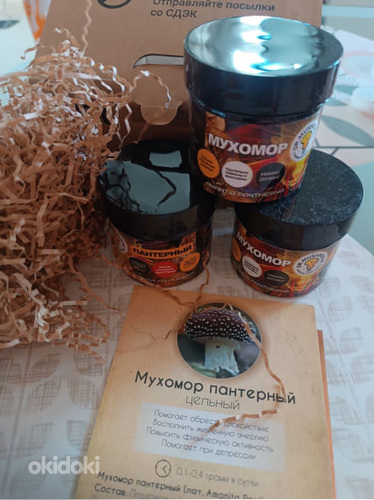 Mikrodoosimine kärbseseene