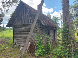 Бревенчатая сауна (7 фото из 9)