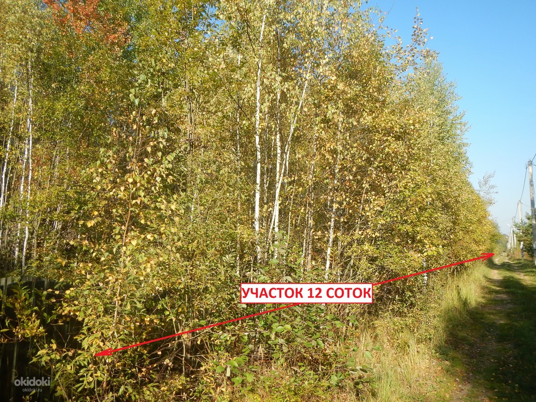 Снт дубок электросталь. ЭСН Дубки Талдомский район. СНТ Дубки Талдомский район. Деревня Гуслево Талдомского района. Талдомский район, Бурцево деревня..