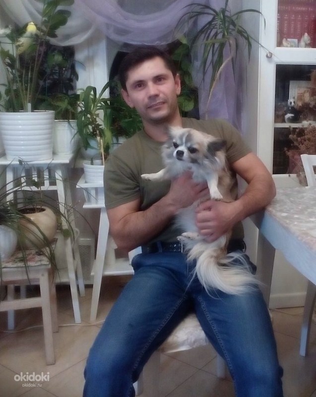 Мастер на все руки - Москва, Московская область - Строительство и ...