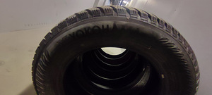 Müün Naastrehvid 225/65R17 106T Yokohama IG65 (2 foto / 4)