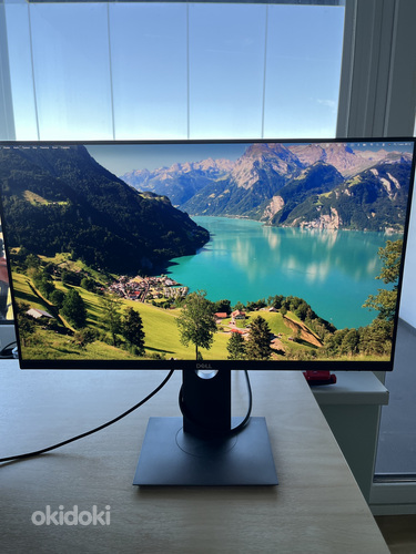 Monitor DELL P2421DC