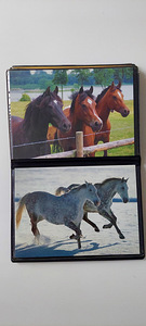 Открытки с лошадями. (4 фото из 4)