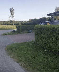 Lehtede puhastamine ja utiliseerimine (6 foto / 8)