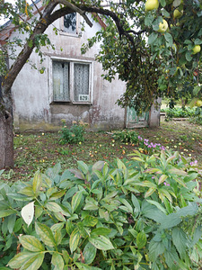 Sputniku AÜ 629, Sillamäe, Ida-Virumaa (3 foto / 14)