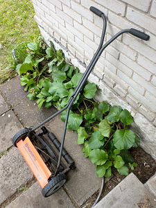 Muruniiduk Husqvarna 64 Novocut (1 фото из 3)