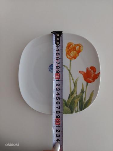 Taldrikud 7 tk, 13 €
