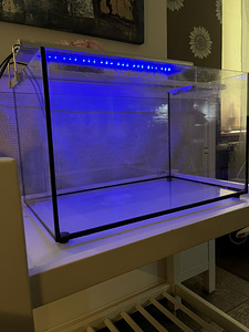Akvaarium 45l, 50x 30x 30cm + valgustus (6 foto / 8)