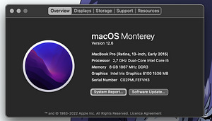 MacBook Pro (Retina, 13-inch, Early 2015) / 2,7GHz / 128GB (8 foto / 10)