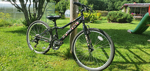 Jalgratas tüdrukule (1 foto / 6)