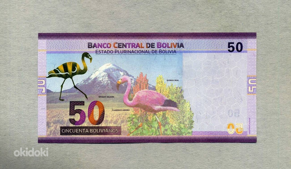 Боливийские 50 боливиано 2018 года выпуска (фото #1)