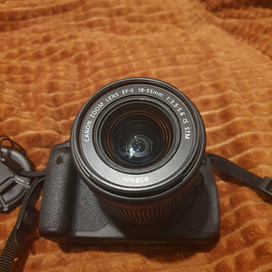 Canon EOS 700D + EF-S 18-55 мм 1: 3,5-5,6