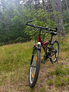 Jalgratas koos muddyfox 200 pump (3 foto / 6)