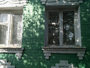 Будинок село, Шестаково (4 фото з 7)