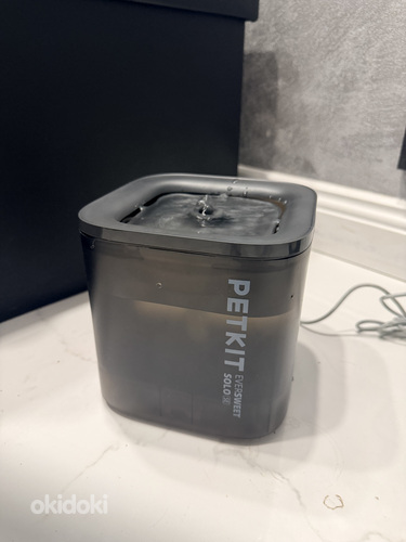 Petkit kasside joogifontään