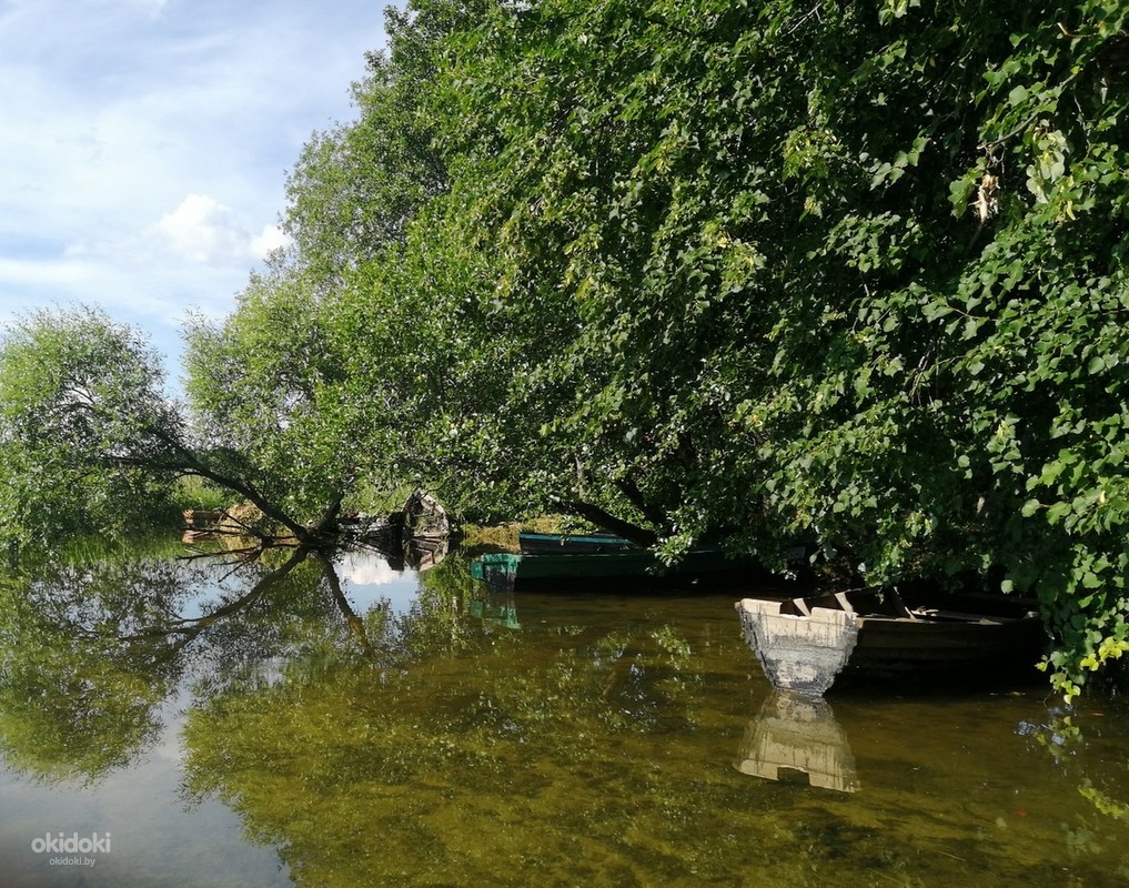 Домик Князя отдых браславские озера (фото #1)