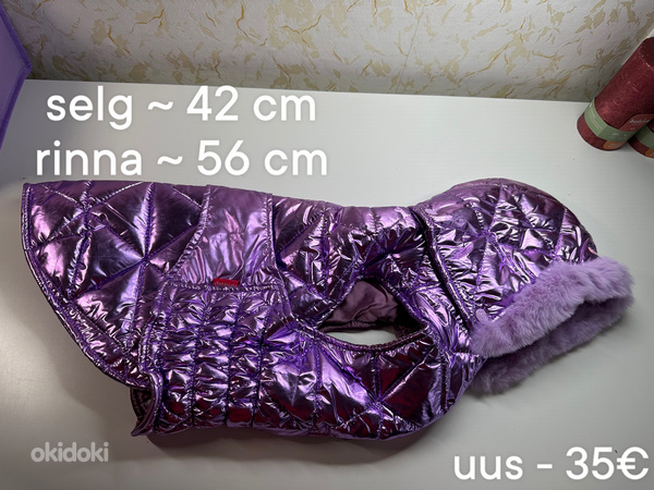 Одежда для собаки среднего размера