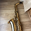 Saksofon Austin ZSA 100S (foto #1)