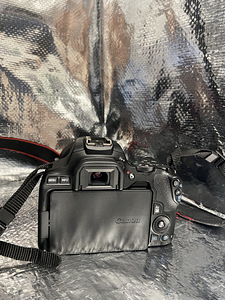 Canon 250D + Canon EF-S 18-55mm f/3.5-5.6 (3 foto / 5)
