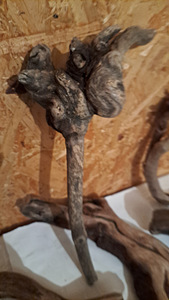 Коряги в аквариум