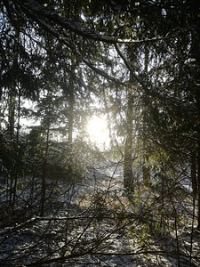 Kirdekaare tn, Elva, Elva vald, Tartumaa (11 foto / 12)